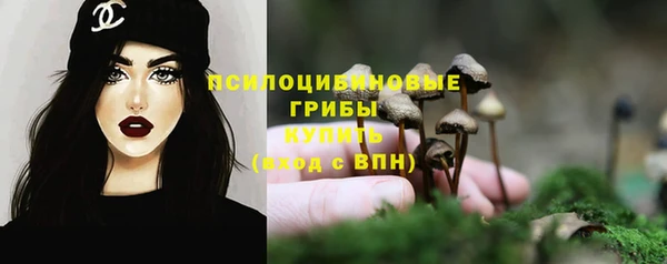 гидра Лихославль