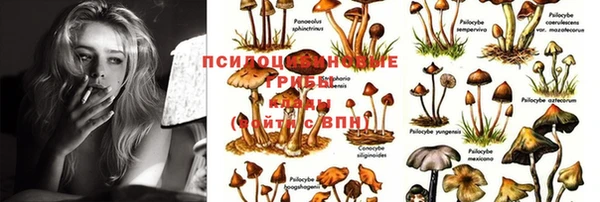 круглые Липки