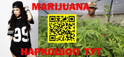 индика Беслан
