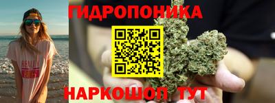 индика Беслан