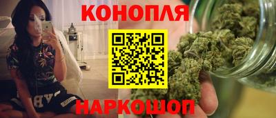 индика Беслан