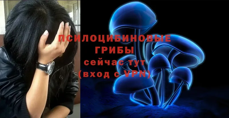 Галлюциногенные грибы GOLDEN TEACHER  Муром 