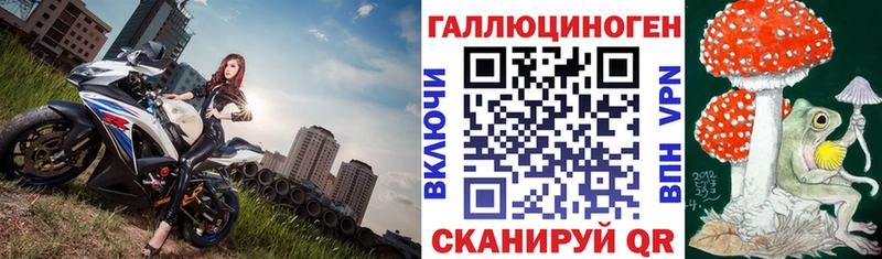 Галлюциногенные грибы мицелий  кракен онион  Муром 