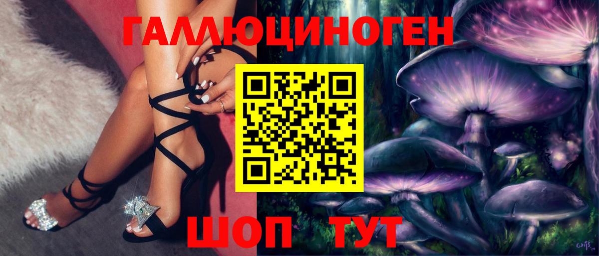 Псилоцибиновые грибы GOLDEN TEACHER Муром