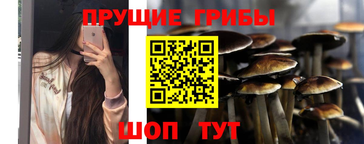 Галлюциногенные грибы GOLDEN TEACHER  Вход с VPN  Псилоцибиновые грибы GOLDEN TEACHER  Муром 